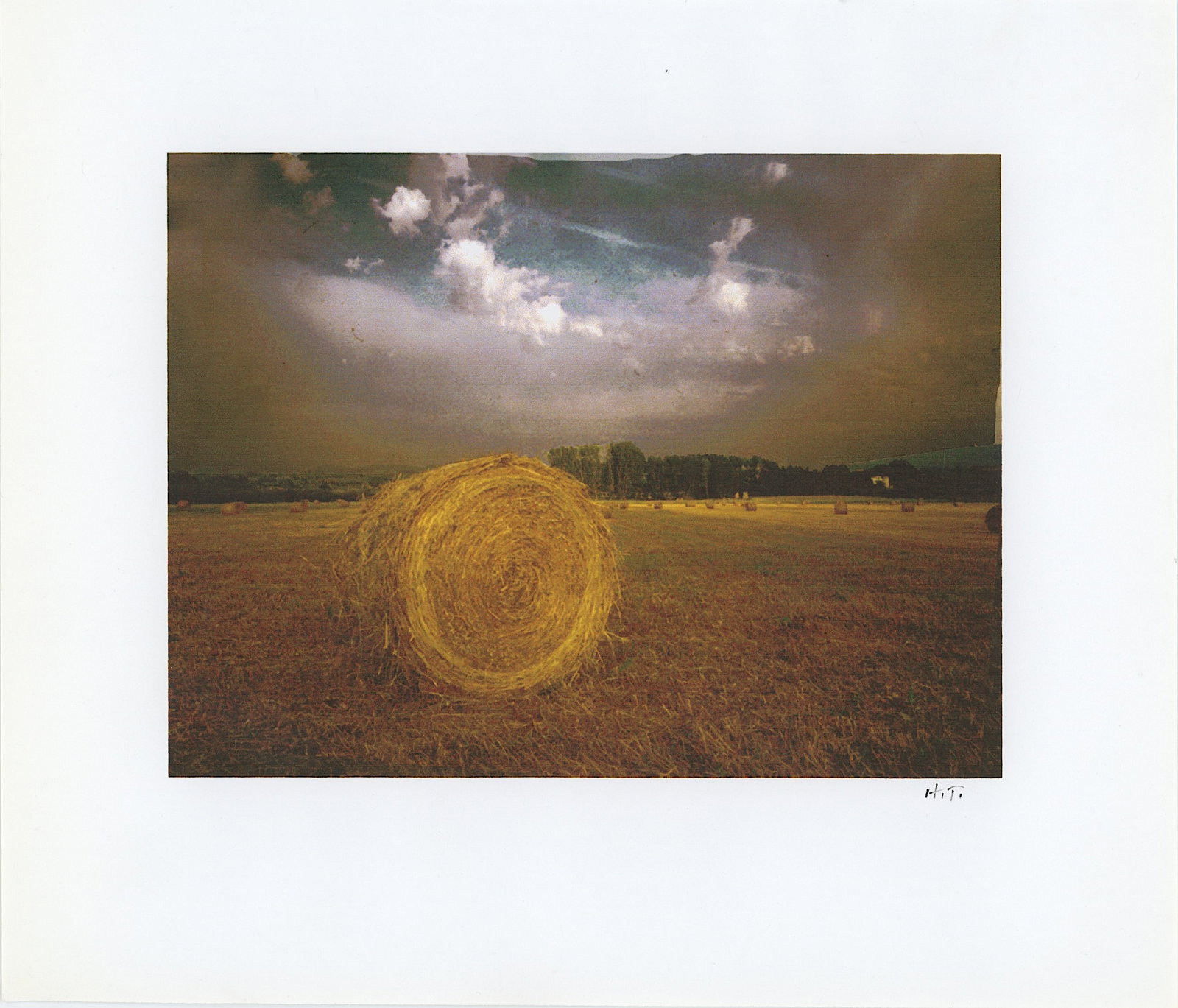 HARRIET TANNIN (1929-2009) Original Digital Print Hand Signed (1 of 1)