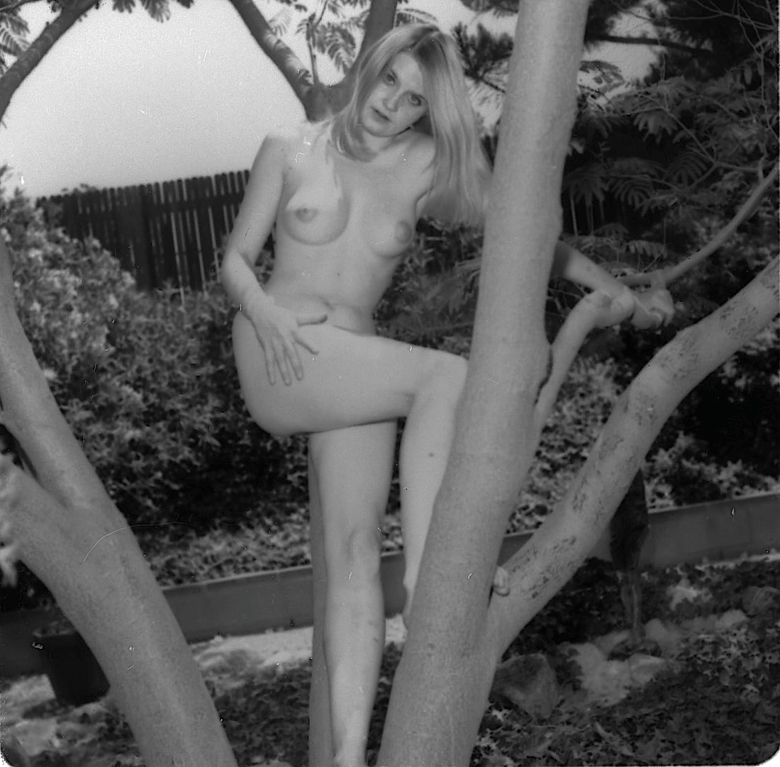 Vintage 20th C. Negative Film Pin Up Woman Nude: Provenance from a Professional American photographer and collector during the last 50 years in Los Angeles, CA. The dimensions are Approx. 2.75" x 2.75". All the items purchased through Artelisted mus