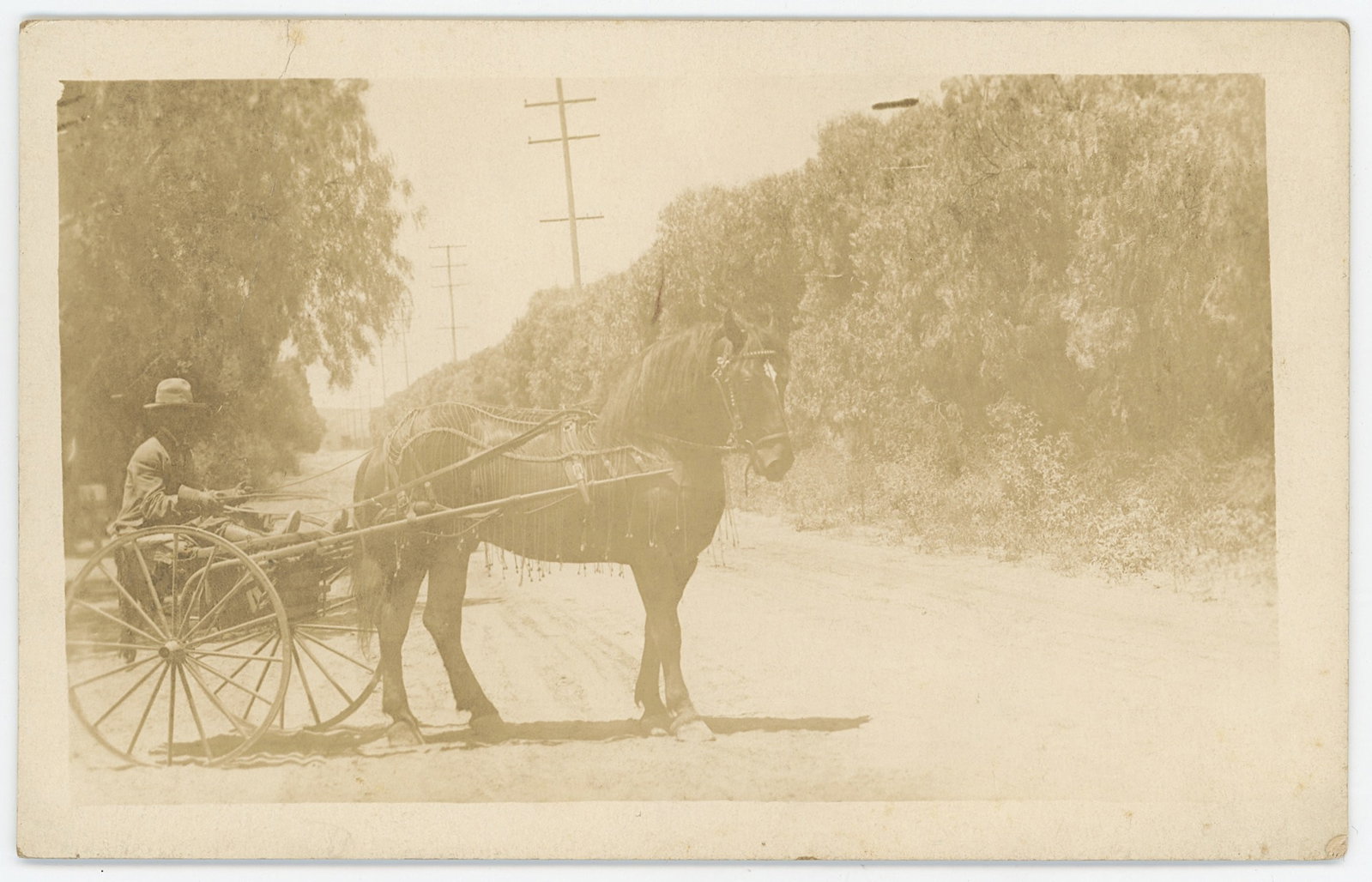 Vintage Rare Ephemera Collectors Opp. Carriage Horse: The provenance of this item is the forgotten (for many years) inventories of Artelisted. Most of these findings are vintage postcards and/or tradecards. The regular size of a postcard/tradecard is app