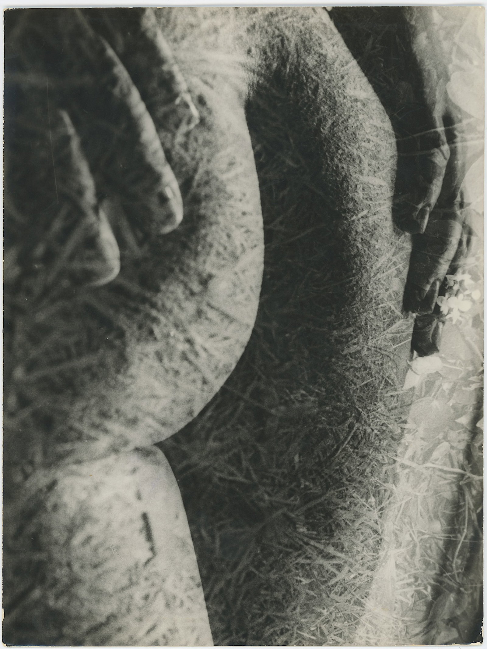 PACO MEDINA Vintage 1960s Original Photo Artistic Woman Nude: This lot is coming from the estate of a collector in West Palm Beach. The dimensions are Approx. 7" x 9.5". THIS IS A RESERVE AUCTION, and the final price will include a Buyer?s Premium. Please, view 