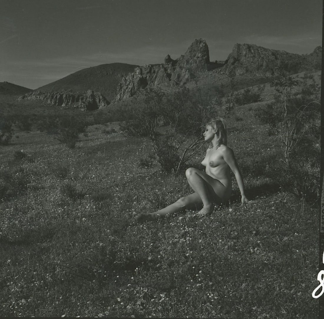 ANDR? DE DIENES Vintage Photo 1950s-1960s Nude Study (1 of 3)