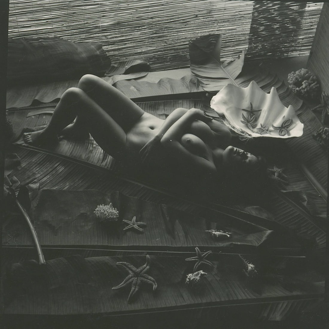 ANDR? DE DIENES Vintage Photo 1950s-1960s Nude Study (1 of 3)