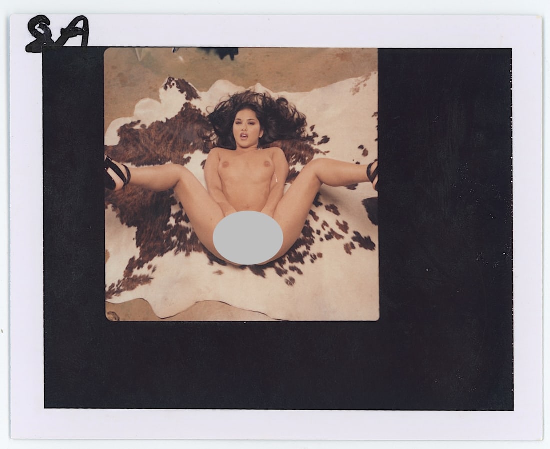 Original Polaroid Photo Pin Up Nude Female (1 of 2)
