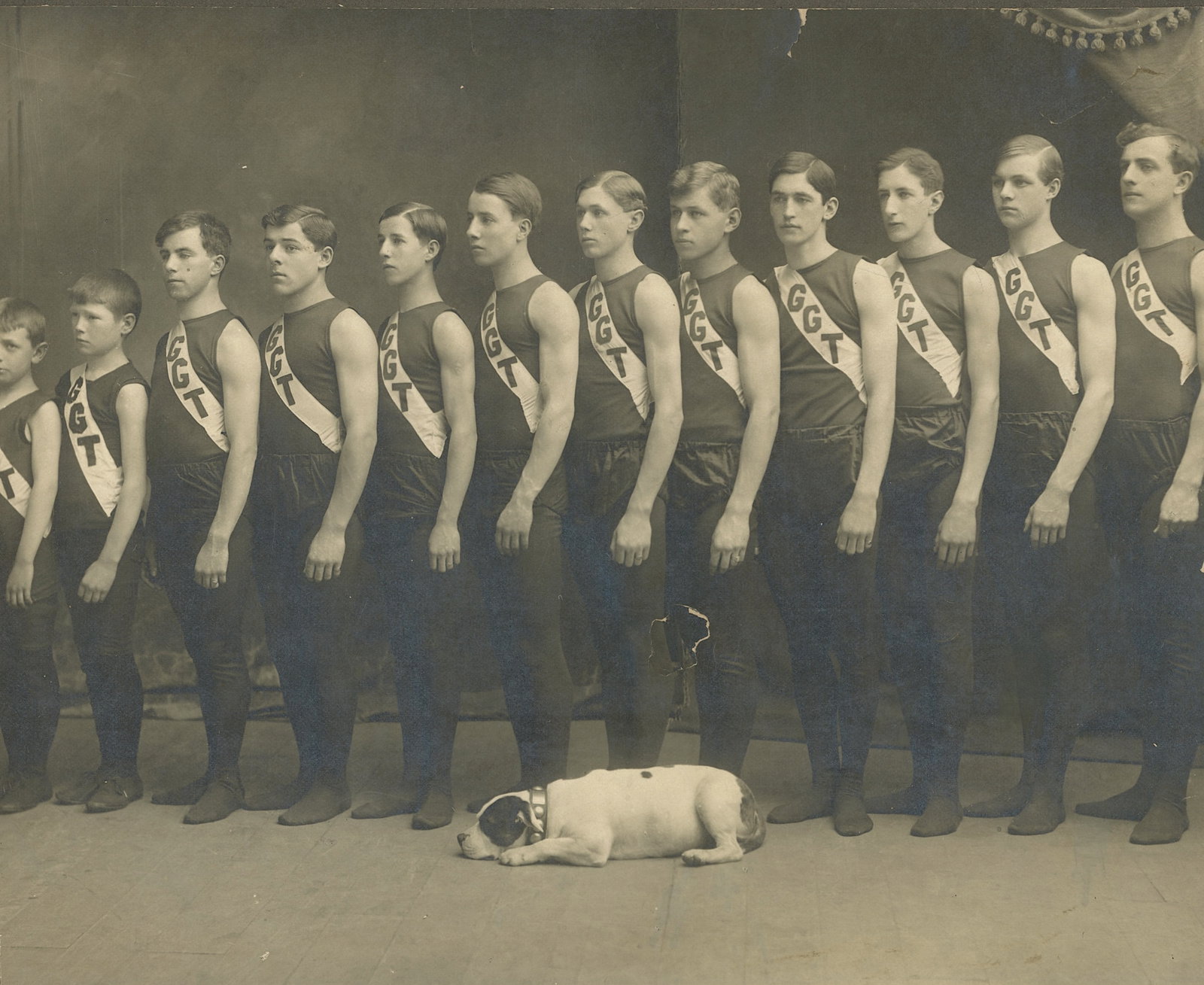 Antique Historical Scarce Cabinet Photo TEAM WITH BULLDOG (1 of 2)