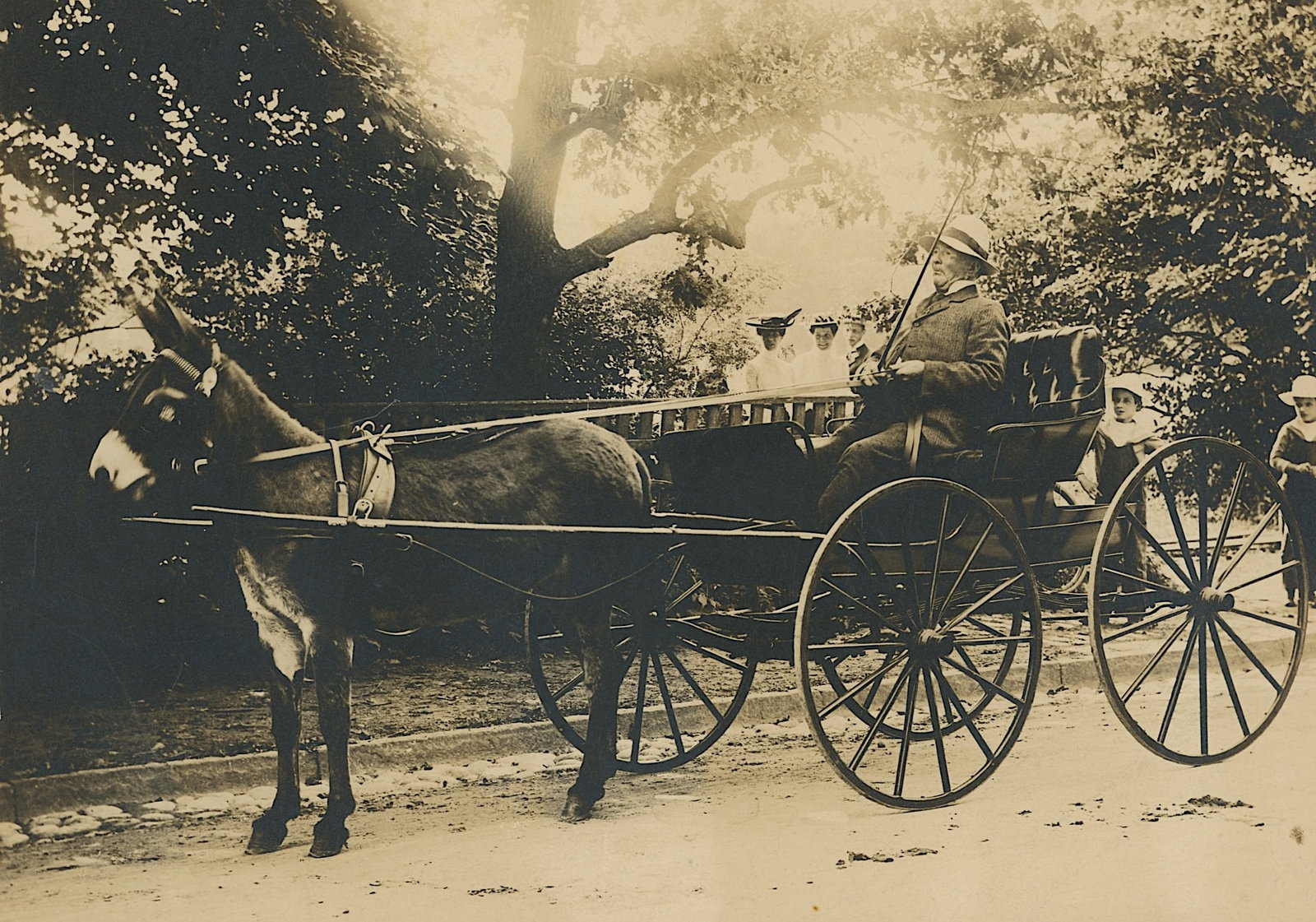 Antique Cabinet Photo DONKEY-DRAWN CARRIAGE (1 of 2)