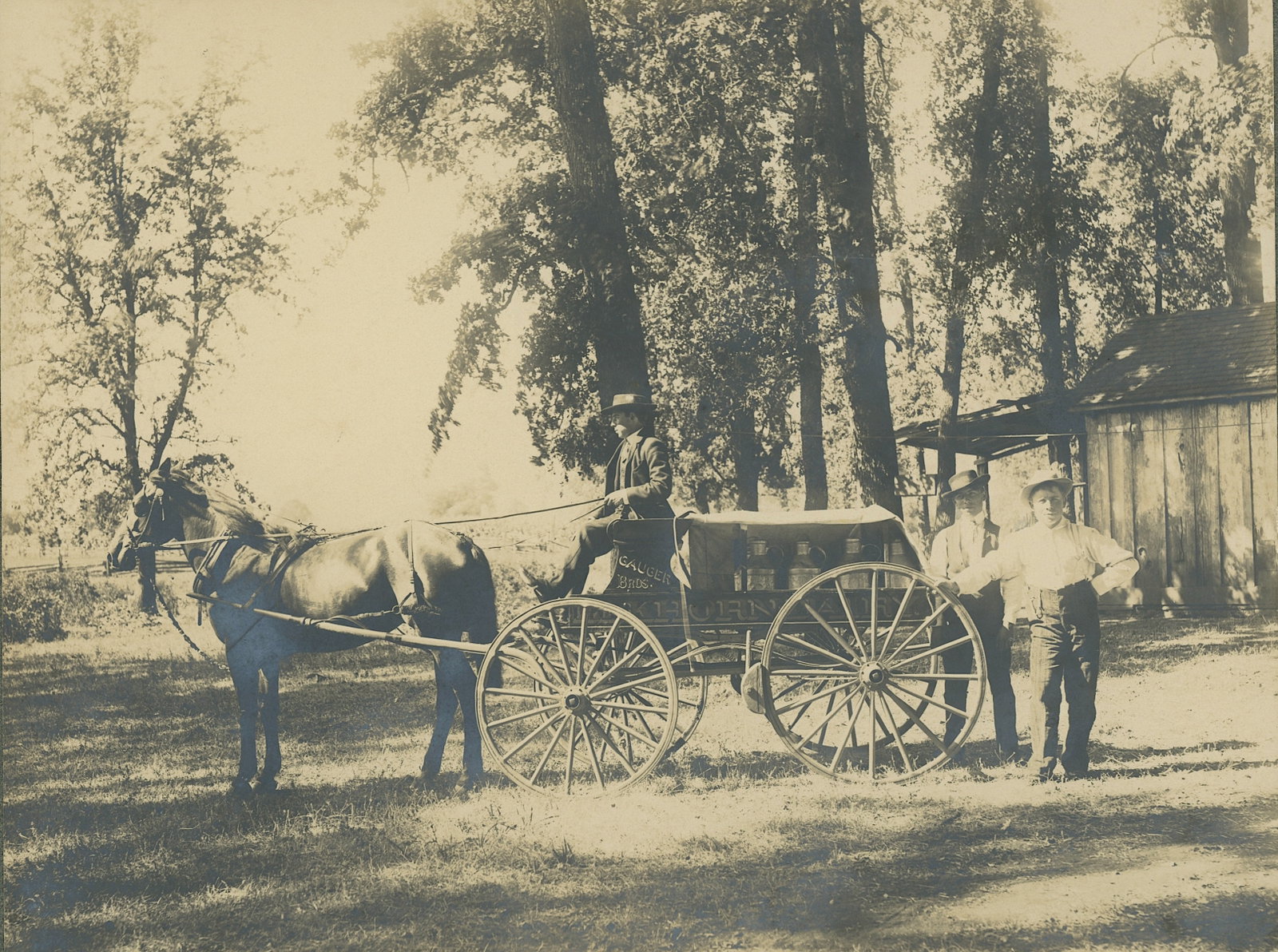 Antique Cabinet Photo HORSE DELIVERY WAGON (1 of 2)