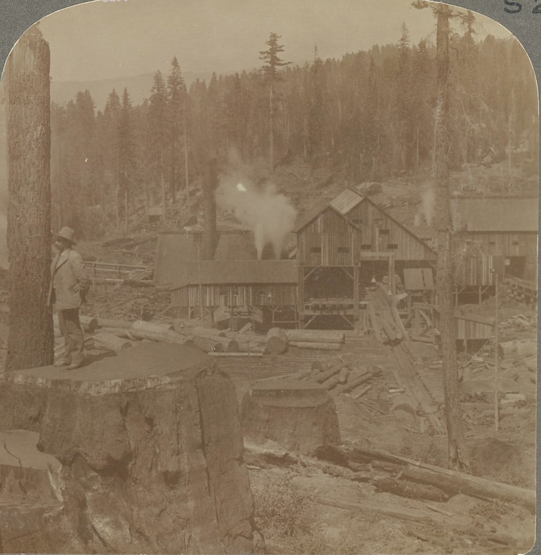 Antique Real Photo Stereoview Photo Millwood, CA (1 of 2)