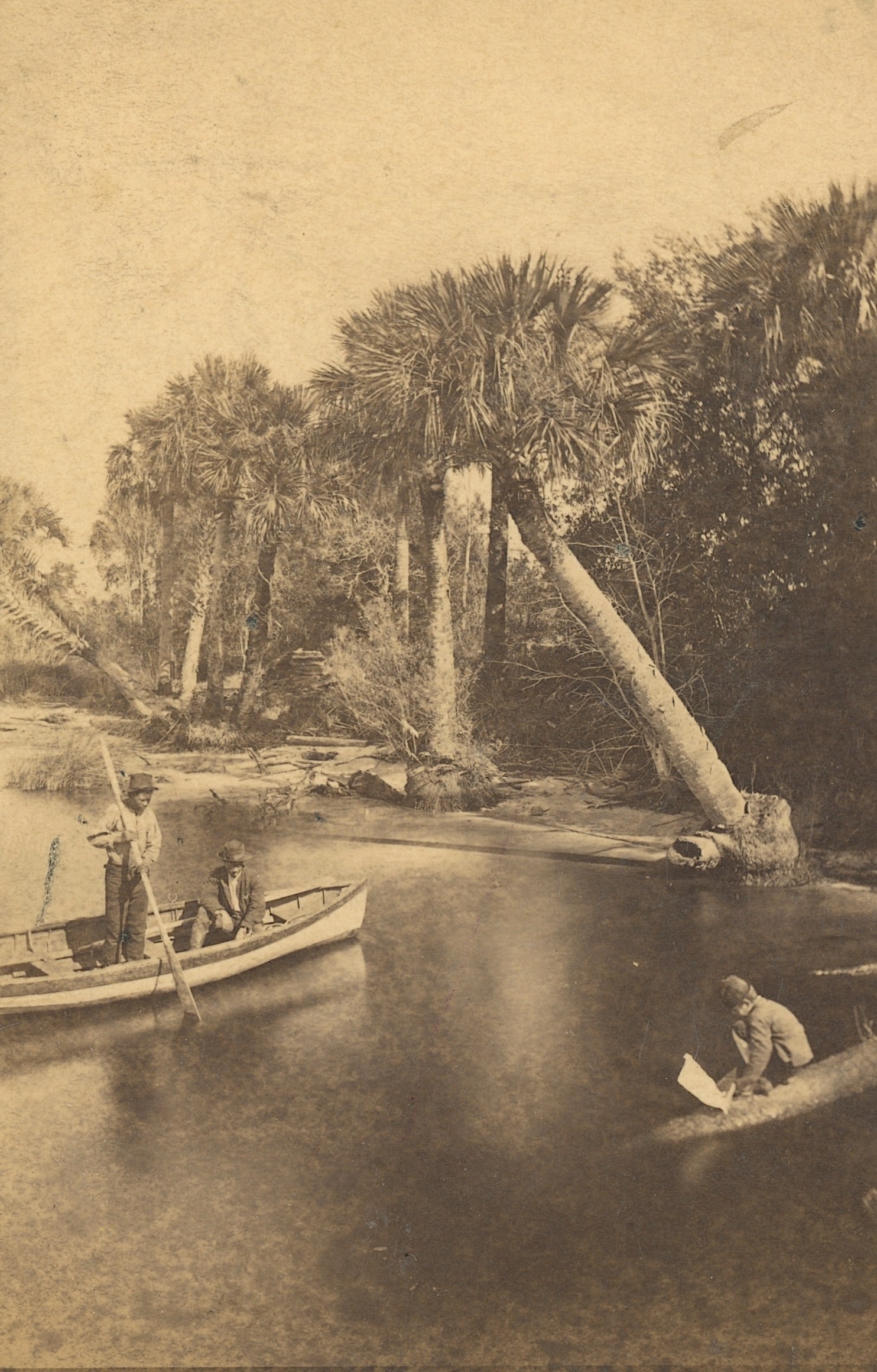 Antique Real Photo Stereoview Photo St. Johns River, FL (1 of 3)