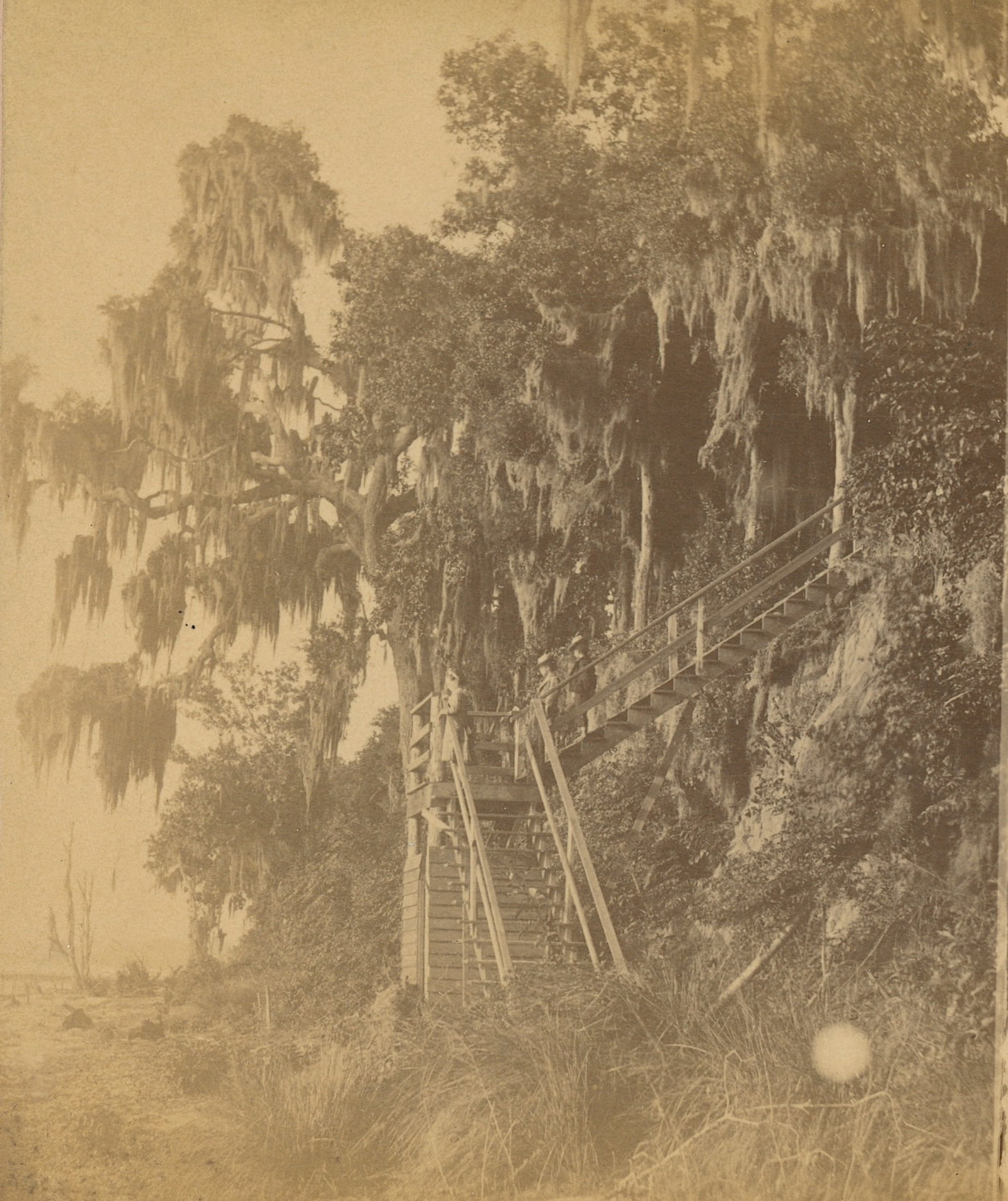 Antique Real Photo Stereoview Photo Jacksonville, FL (1 of 3)
