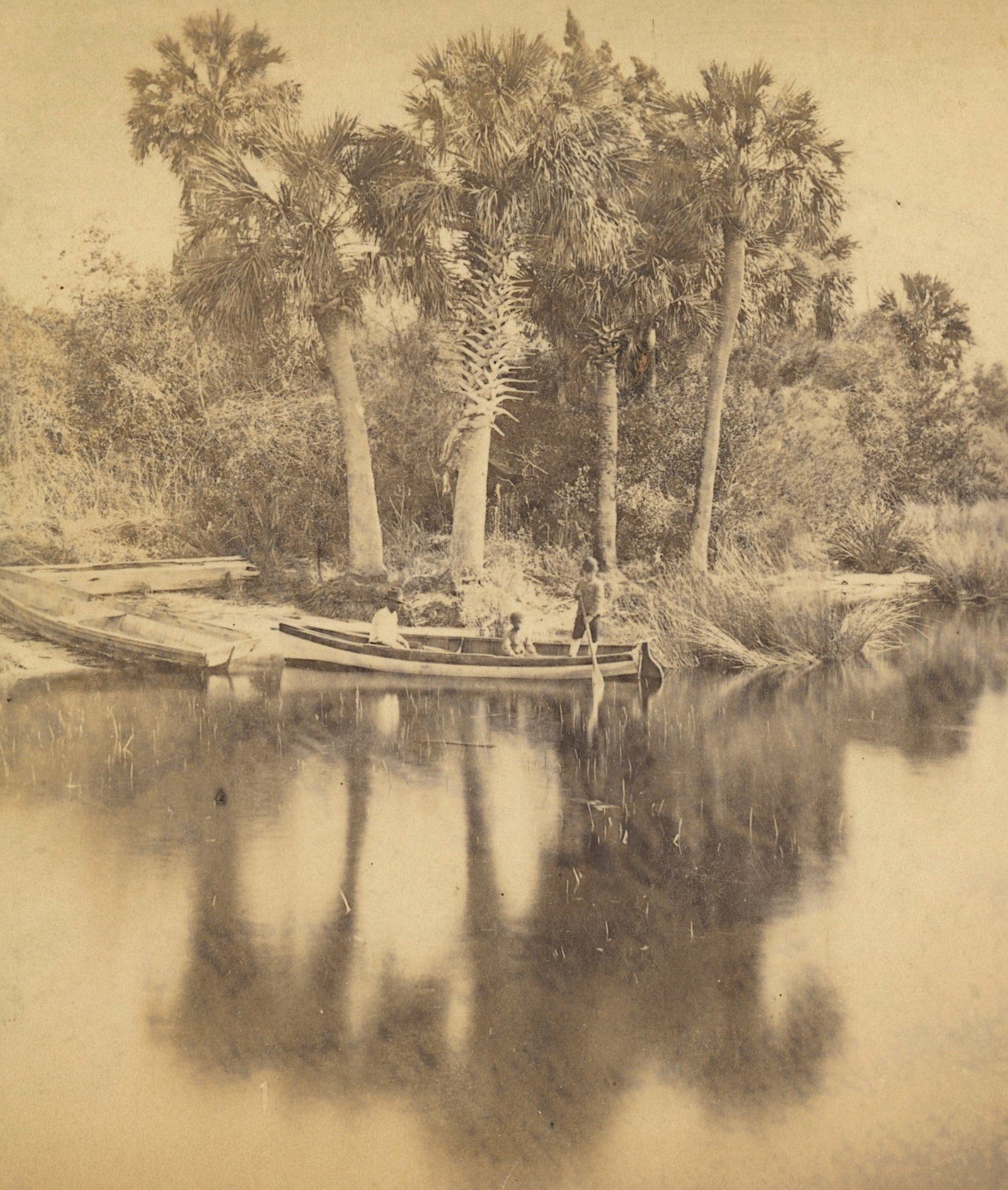 Antique Real Photo Stereoview Photo Jacksonville, FL: The provenance of this item is the forgotten (for many years) inventories of Artelisted. The stereoviews constitute wonderful testimonies of past time that tend to be unique. They were highly selected