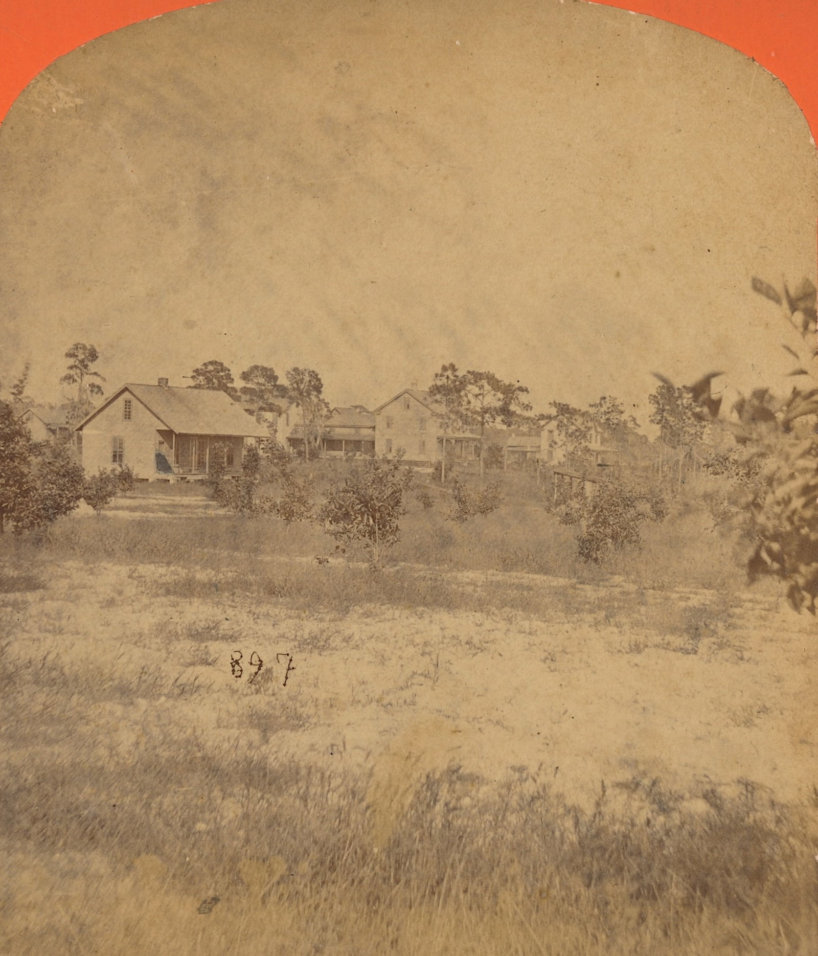Antique Real Photo Stereoview Photo Jacksonville, FL: The provenance of this item is the forgotten (for many years) inventories of Artelisted. The stereoviews constitute wonderful testimonies of past time that tend to be unique. They were highly selected