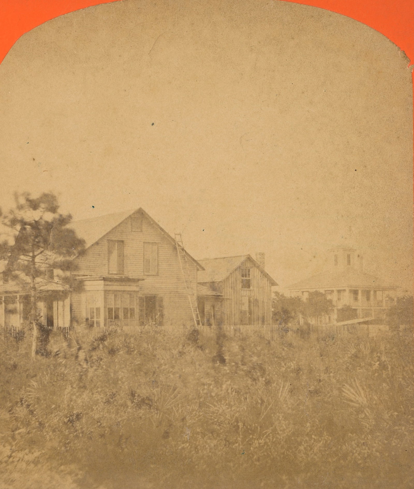 Antique Real Photo Stereoview Photo Palatka, FL (1 of 3)