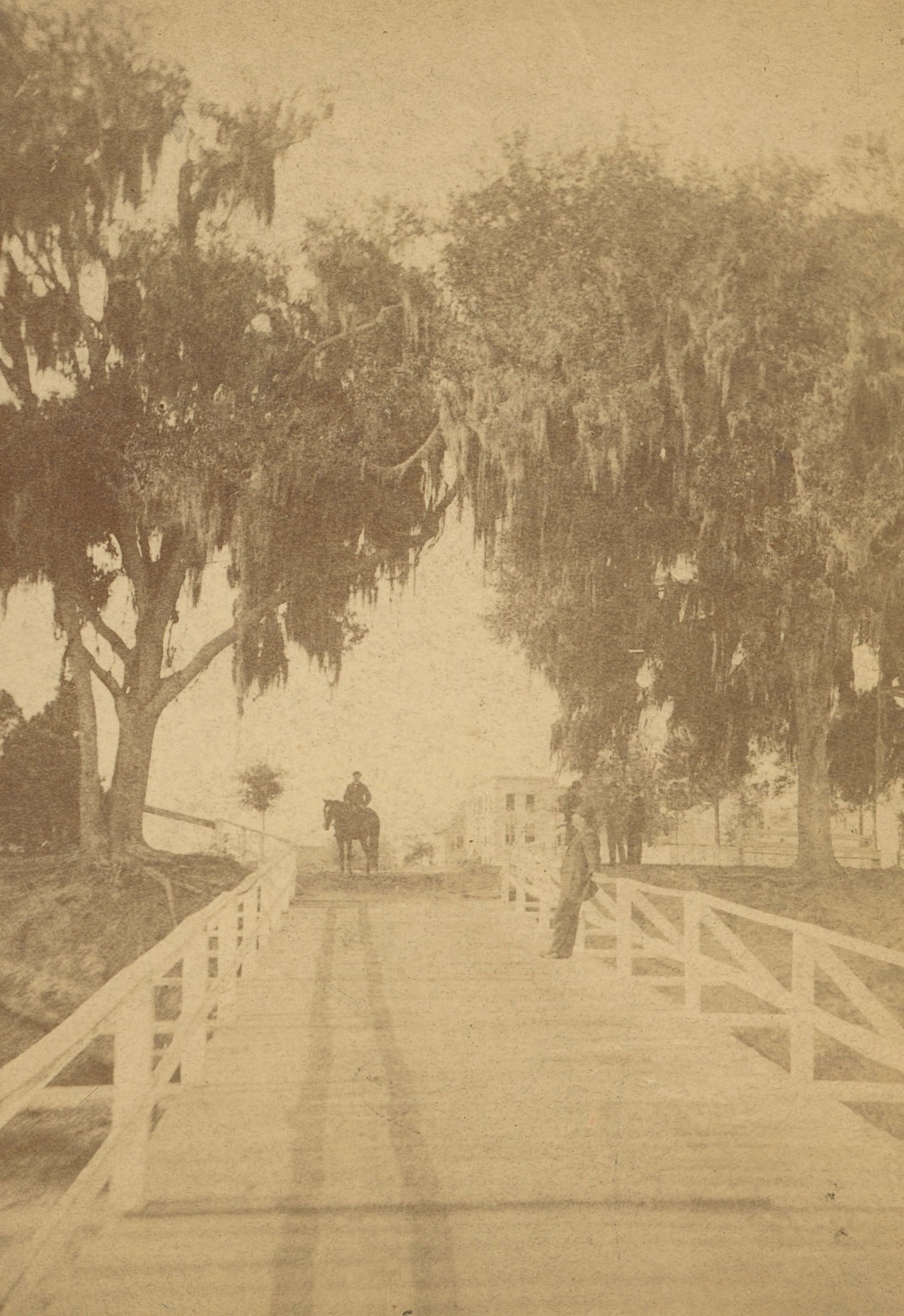 Antique Real Photo Stereoview Photo Green Cove, FL: The provenance of this item is the forgotten (for many years) inventories of Artelisted. The stereoviews constitute wonderful testimonies of past time that tend to be unique. They were highly selected
