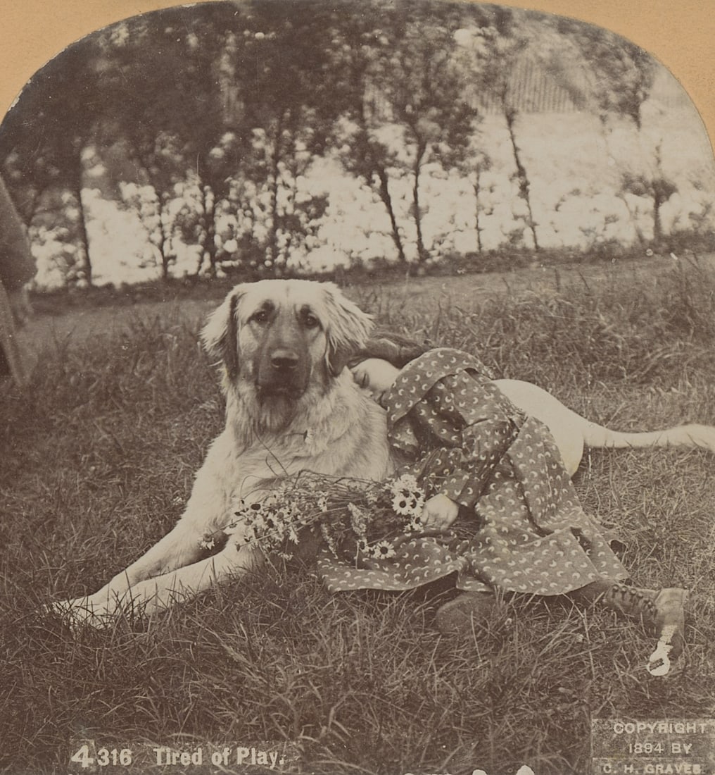Antique Real Photo Stereoview Photo Tired of Play: The provenance of this item is the forgotten (for many years) inventories of Artelisted. The stereoviews constitute wonderful testimonies of past time that tend to be unique. They were highly selected