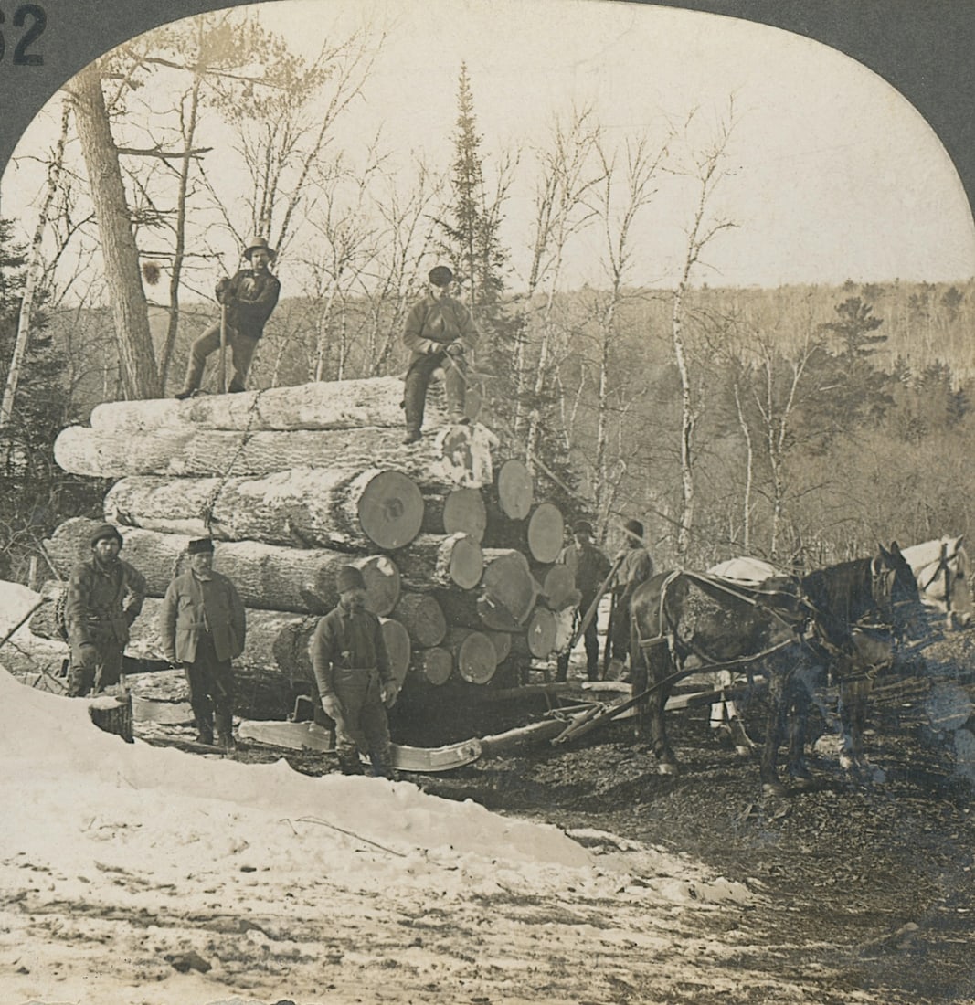 Antique Real Photo Stereoview Photo Logging Operations: The provenance of this item is the forgotten (for many years) inventories of Artelisted. The stereoviews constitute wonderful testimonies of past time that tend to be unique. They were highly selected