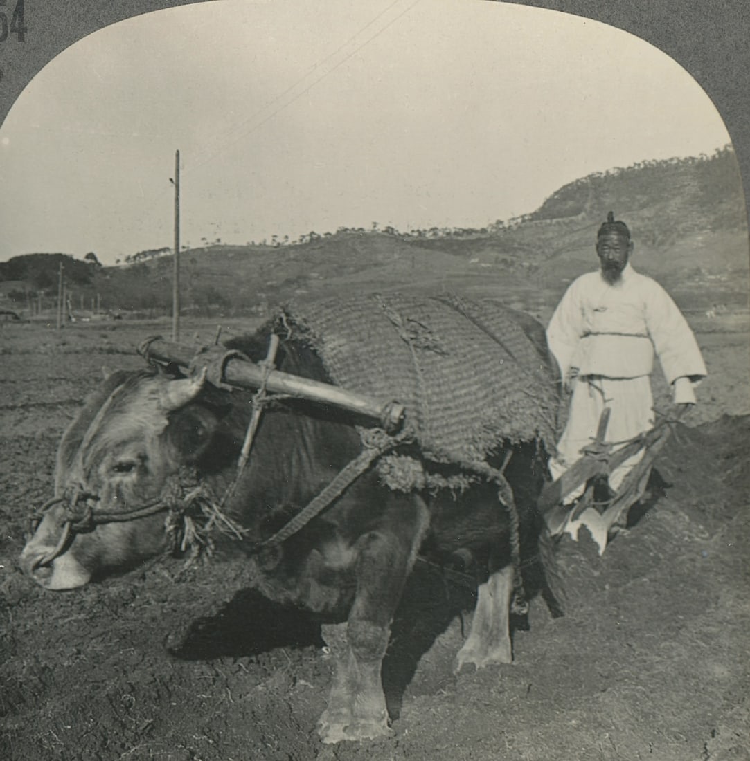 Antique Real Photo Stereoview Photo Korean Farmer: The provenance of this item is the forgotten (for many years) inventories of Artelisted. The stereoviews constitute wonderful testimonies of past time that tend to be unique. They were highly selected