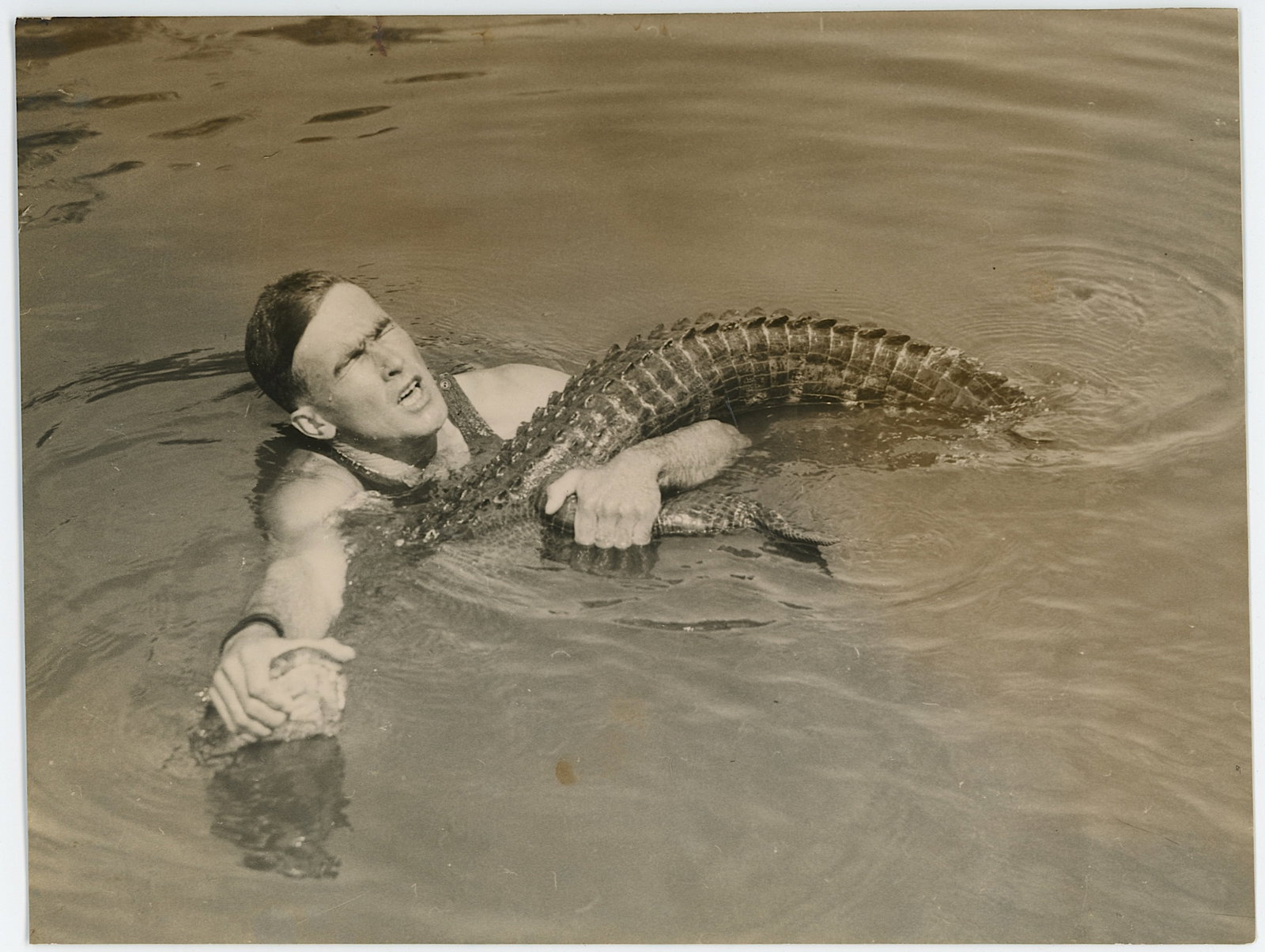 Vintage Selected Ephemera OPP! ALLIGATOR WRESTLING: The provenance of this item is from the inventories of Artelisted.The dimensions are Approx. 10" x 8". THIS IS A RESERVE AUCTION, and the final price will include a Buyer?s Premium. Please, view our
