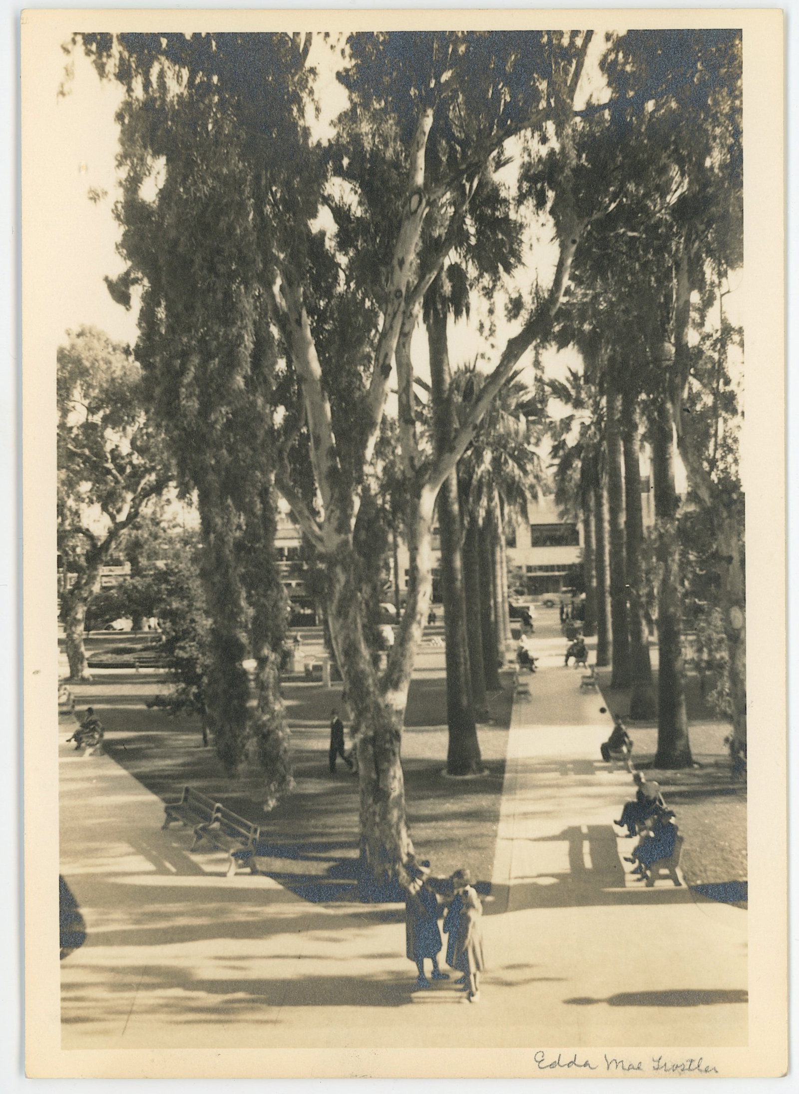 Vintage Selected Ephemera OPP! LANDSCAPE PARK AREA (1 of 2)