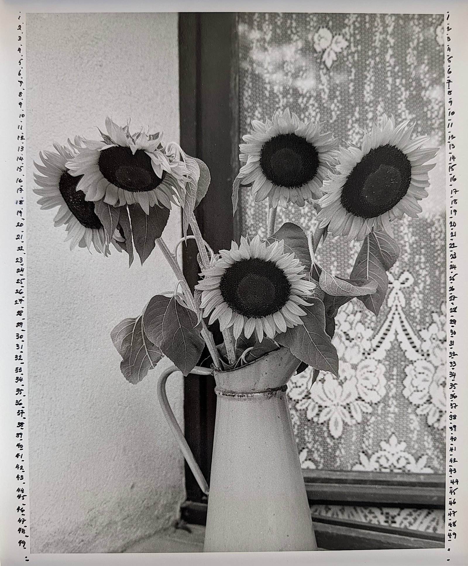 Vintage Photo Print Archives HARRIET TANNIN (1 of 1)