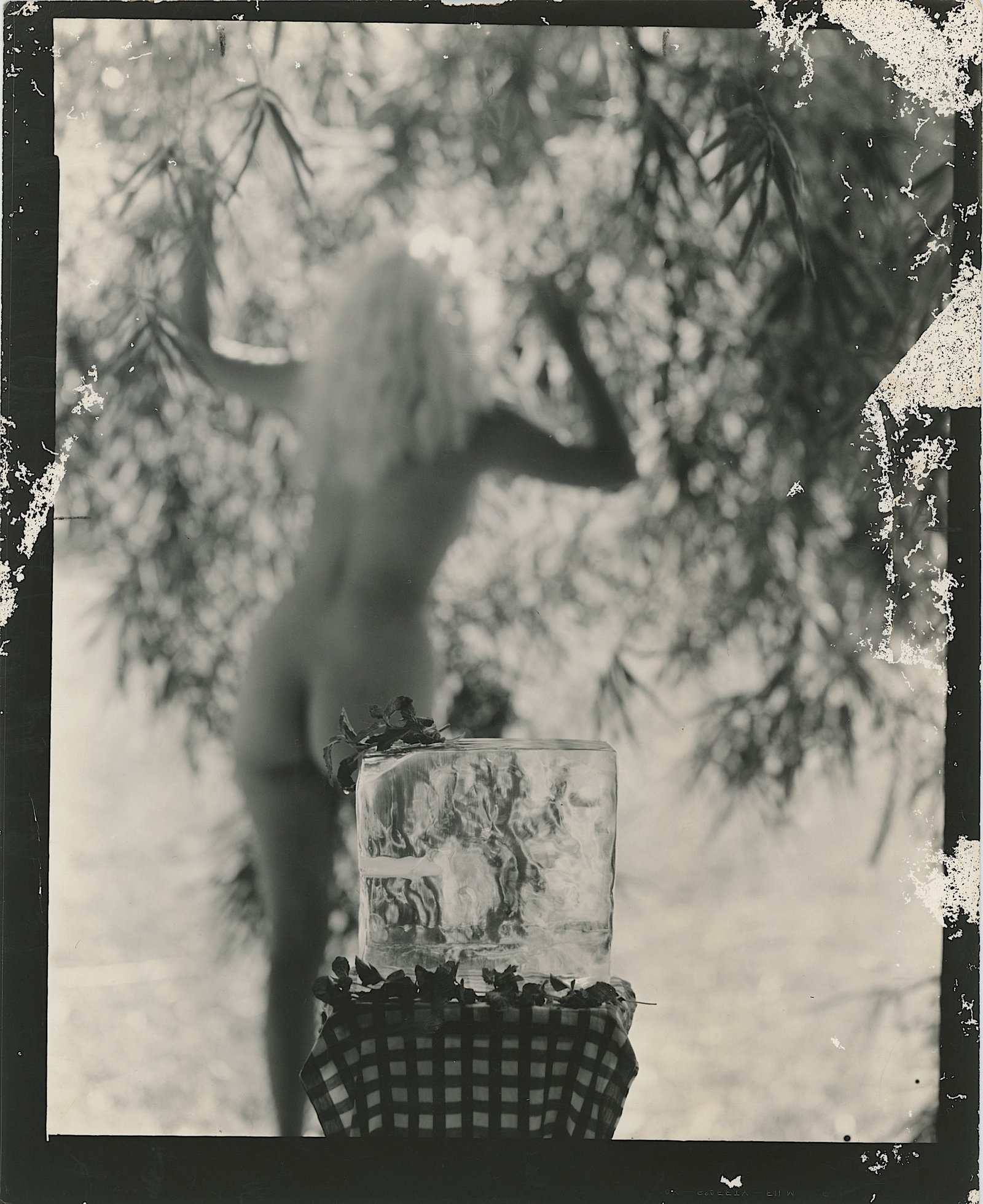 Rare BUNNY YEAGER Photo Pin Up MINT JULEP Cocktail: The provenance of this lot is from a collector in RI. The dimensions are Approx. 10" x 8". THIS IS A RESERVE AUCTION, and the final price will include a Buyer?s Premium. Please, view our full terms an