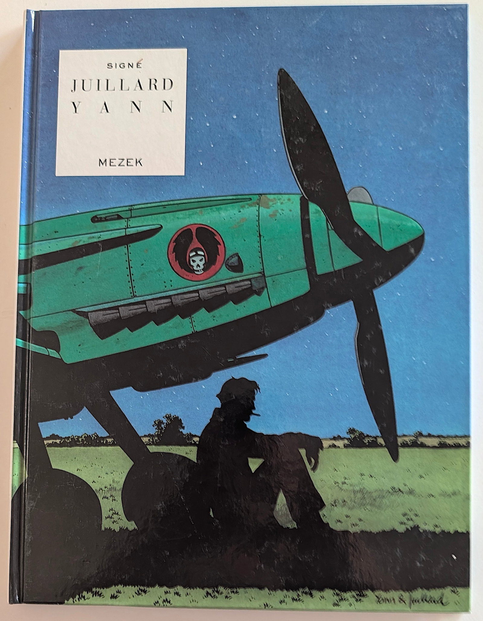 Mezek, written by Yann and illustrated by Andr? Juillard