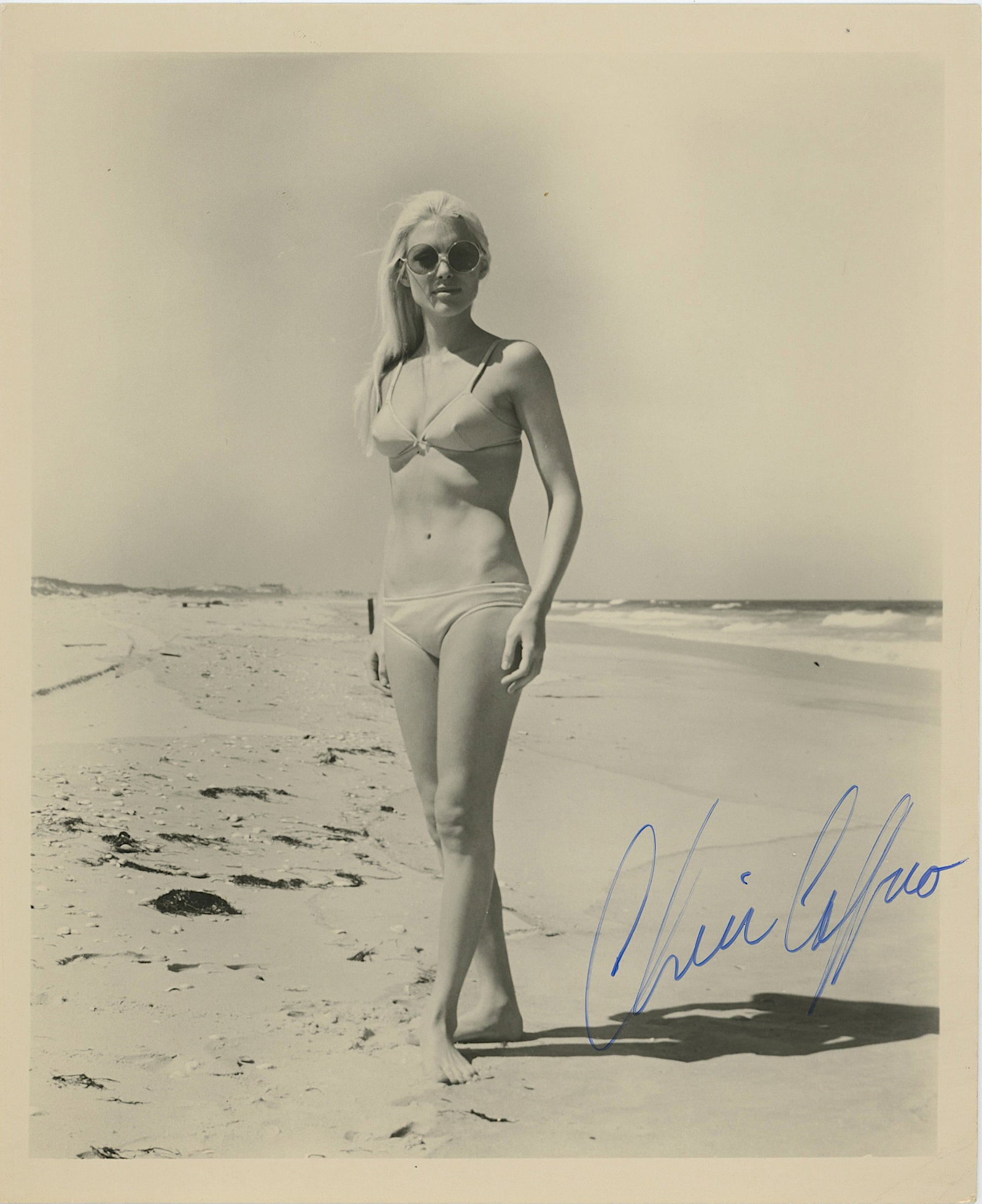 Vintage autographed photo Cheri Caffaro