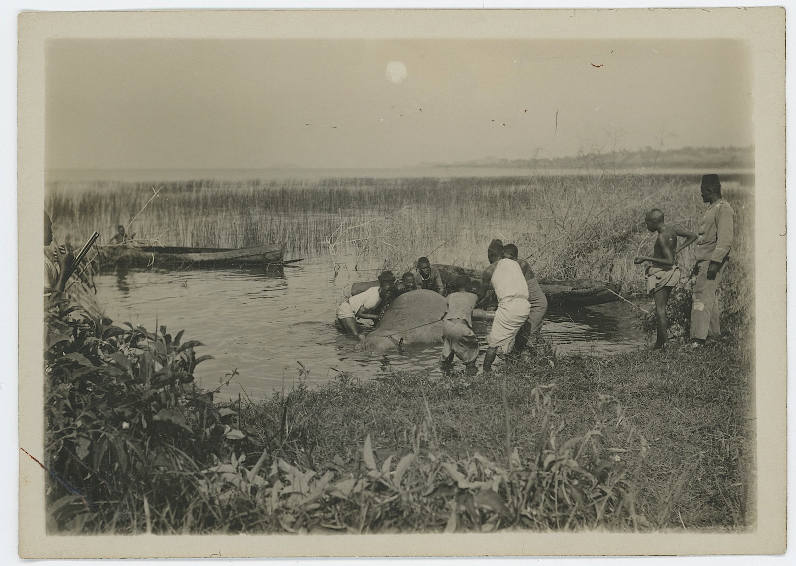 Scarce Historical Photo Collectors Assisting Animal River: Scarce Historical Photo Collectors Assisting Animal River. Provenance from inventories of Artelisted. The dimensions are Approx. 4.5" x 6". We have included quality images to show it's actual conditio