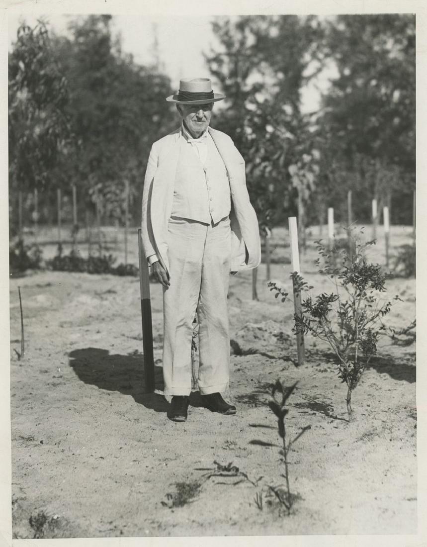 ACME Thomas Alva Edison in His Garden, 1930 (1 of 2)