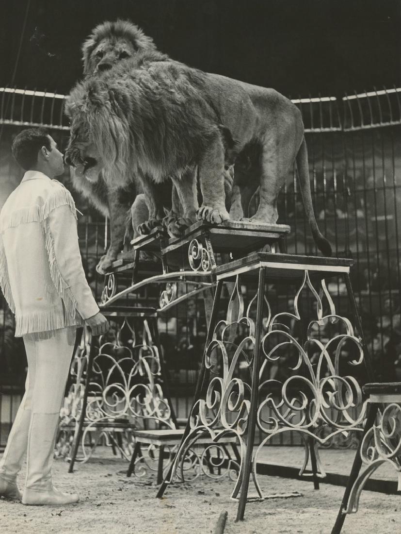 KEYSTONE Photo of Pierre Thomas with Lions, 1950 (1 of 2)
