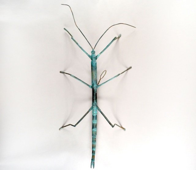 Oxidized Copper Model of a Praying Mantis: Height 7 inches, width 18 inches. depth 38 inches.