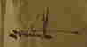 item-51317602=2