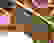 item-53020529=2