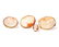 A group of four shell cameos