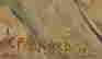 item-56102941=2
