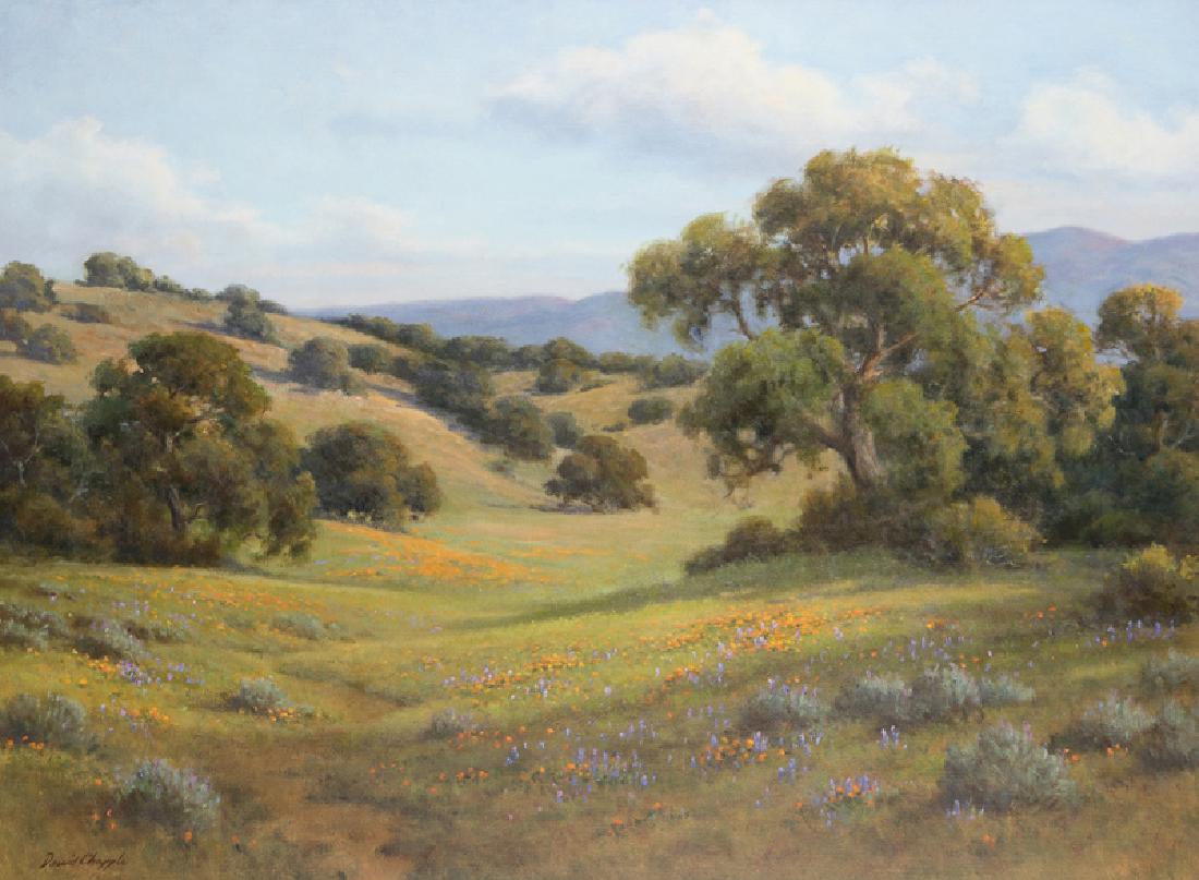 David Chapple (1947 - * California) (1 of 4)