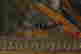 item-59669624=3
