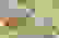 item-61912277=4