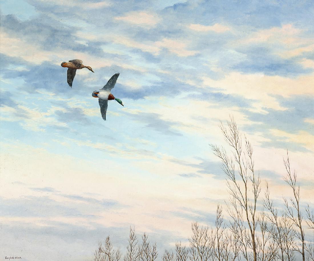 Geoffrey Campbell Black (1925 - * British) (1 of 4)