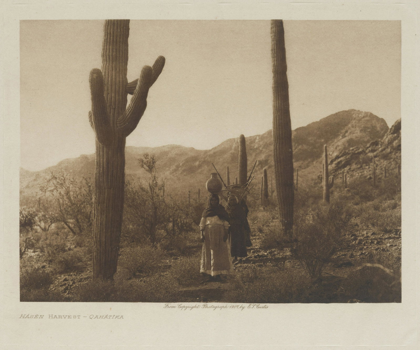 Edward S. Curtis (1868-1952 Los Angeles, CA): "Hasen Harvest - Qahatika," 1907 Photogravure on paper laid to Van Gelder paper under glass Unsigned, titled in the lower left margin, inscribed in the lower center margin: From Copyright Photograph 1