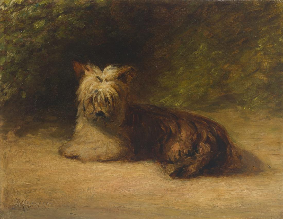 Alexander Morrison (fl.1873-1888 British): Skye Terrier lying down Oil on canvas laid to canvas Signature incised lower left: A. Morrison 9.5" H x 12.5" W Provenance: Exclusively Dogs, Scottsdale, AZ