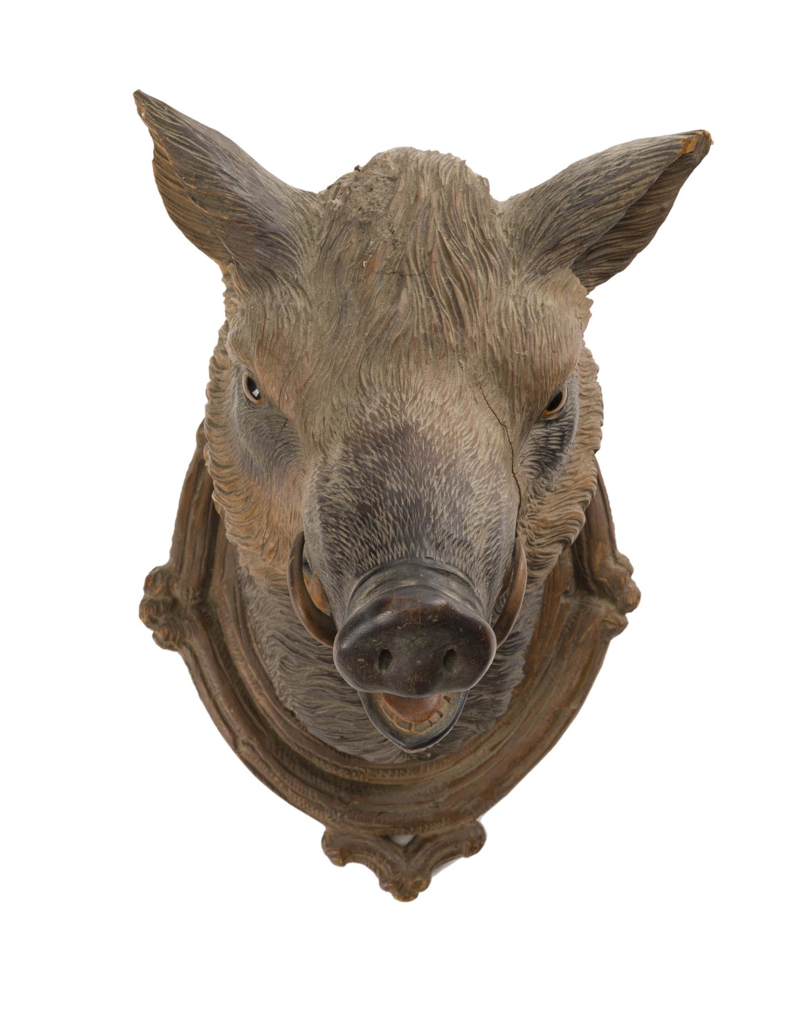 A Black Forest carved wood boar's head: First quarter 20th century The carved head set into a wood wall plaque 14.5" H x 8.75" W x 11.5" D