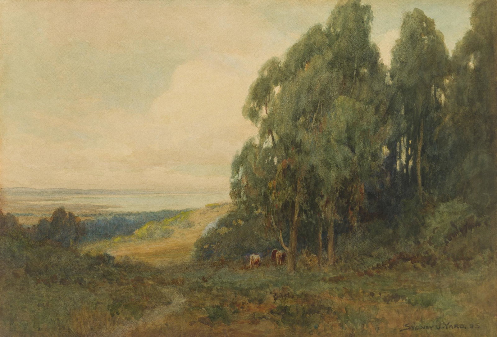 Sydney J. Yard (1855-1909 Monterey Peninsula, CA): Cows in a California coastal landscape, 1905 Watercolor on paper laid to board laid to foam core Signed and dated lower right: Sydney J. Yard Sight: 14" H x 21" W