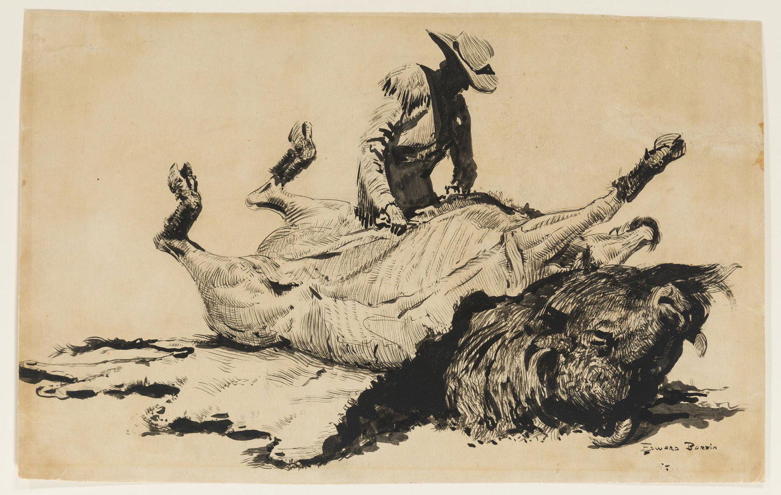 Edward Borein (1872-1945 Santa Barbara, CA): Cowboy dressing a bison Ink on paper under glass Signed lower right: Edward Borein Sheet: 8.5" H x 13.25" W