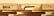 1006: A gold and diamond case, Ruser - 2