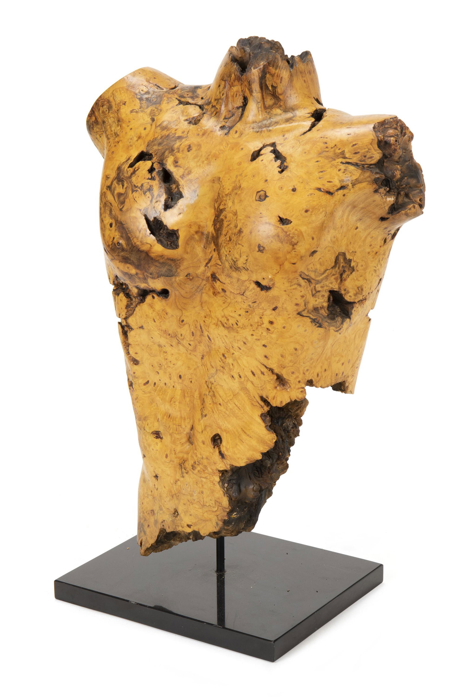 Sigmund De Tonancour (20th Century): Torso sculpture male Burlwood on stone base Signed: Sig. De Tonancour / 86 Sculpture: 32.5" H x 22" W x 10" D; Overall: 33.75" H x 22" W x 13" D