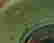 item-105993616=4