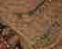 item-108315993=3