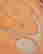 item-108316064=11