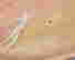 item-108316064=4