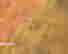 item-108316064=7